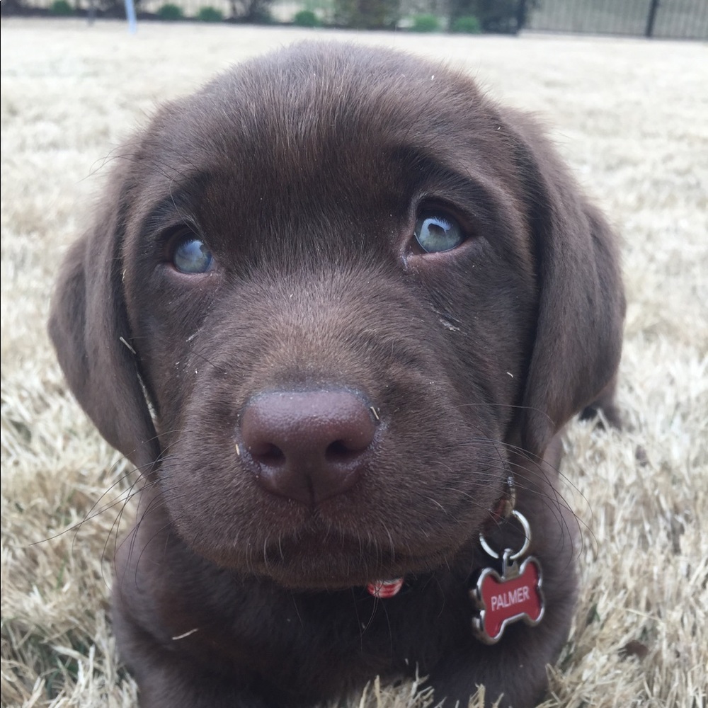 Meet your Posher, Caitlin